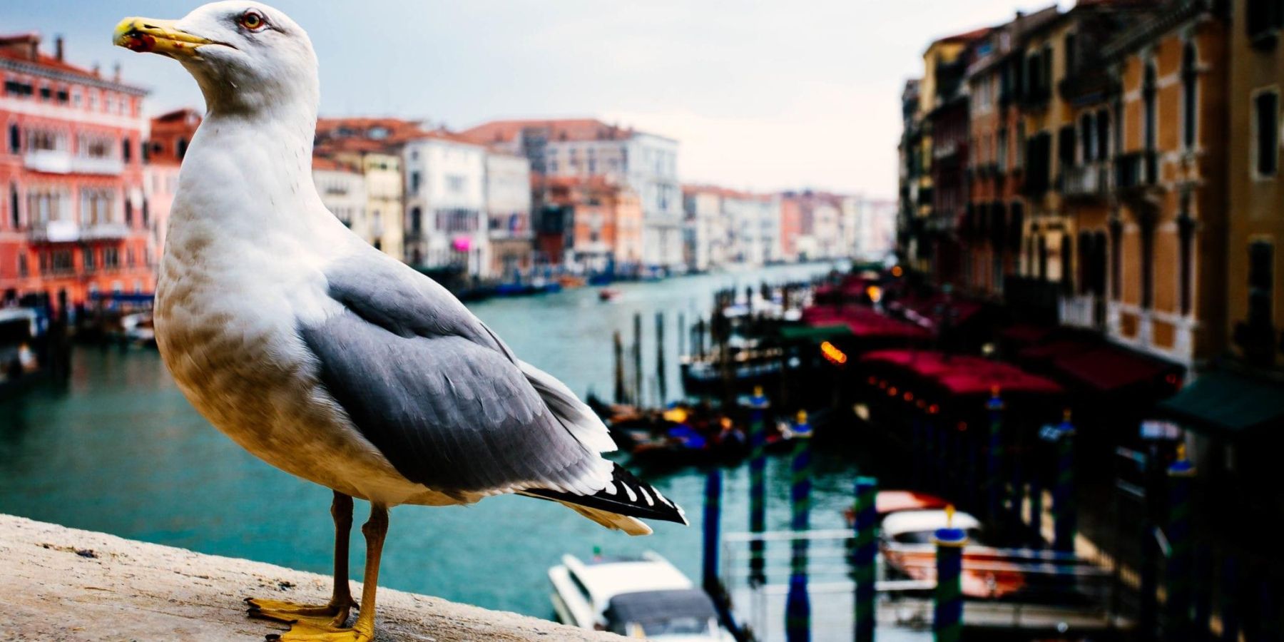Italy