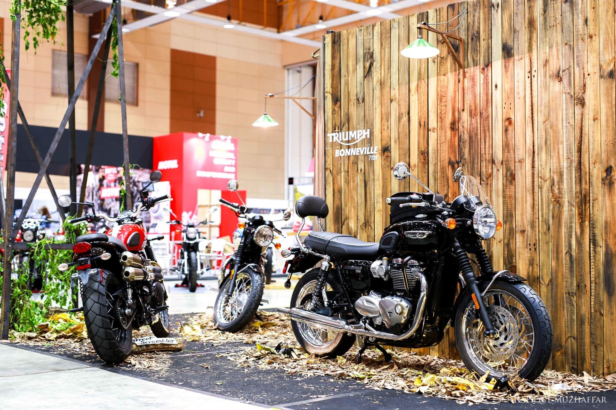 Triumph